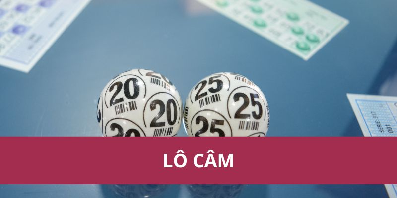 Cách Chơi và Những Điều Cần Biết Về Lô Câm Khi Chơi Lô Đề