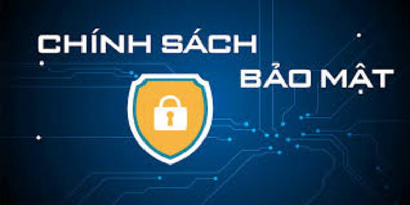 Quy trình lưu trữ và bảo vệ trong chính sách bảo mật 123B